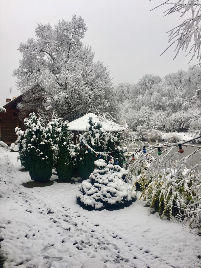 Affittacamere Rancho 555 Užhorod Esterno foto