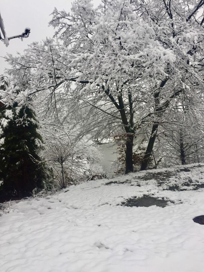 Affittacamere Rancho 555 Užhorod Esterno foto